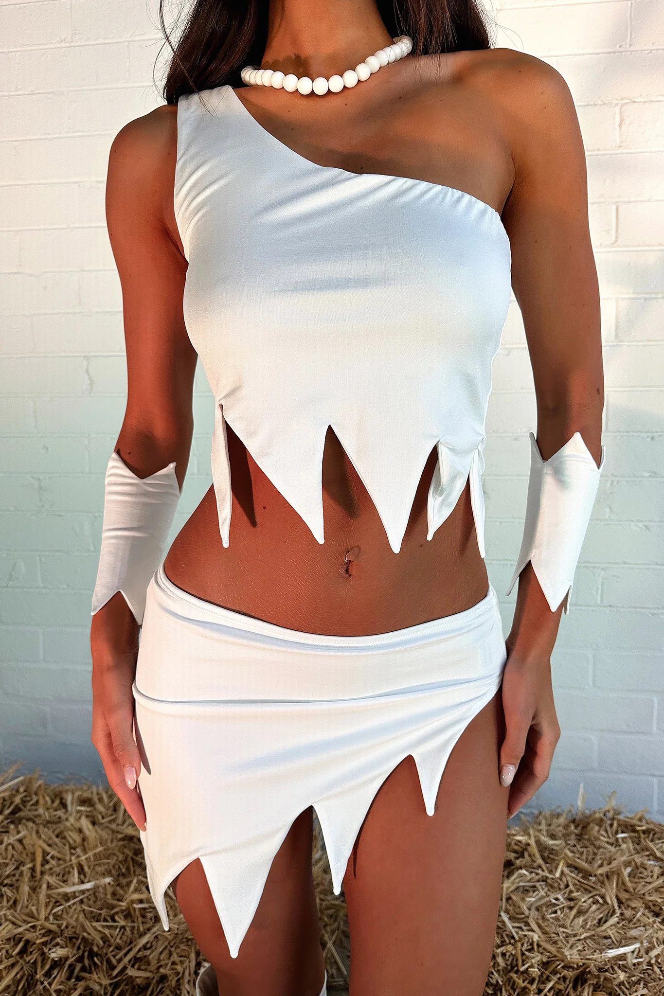 2519-dino-crop-white-1.jpg